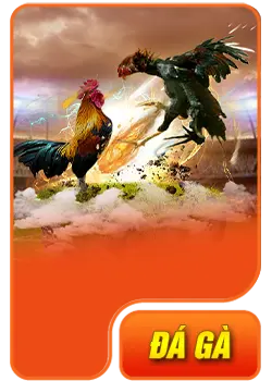 Đá gà 13win